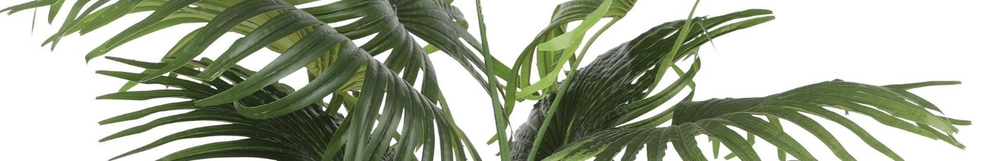 Artificial Plants