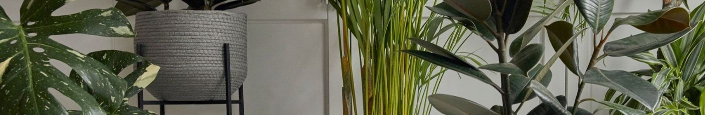 Accessories - Indoor