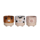 Dog Cow Pig Pot Assorted