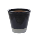 RHS Bridge Purple Pot