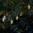 Solar 8 Bulb String Light