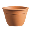 Low Bell Pots