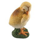 Resin Chick