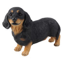 Resin Daschund