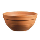 Bulb Bowl