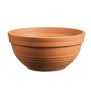 Bulb Bowl