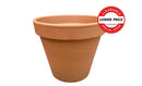 Plt Of 504 Standard Pot