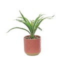 Faux Plant Red Pots