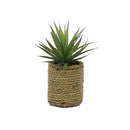 Faux Plants In Rattan Basket