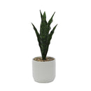 Faux Plant White Pots