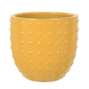 Fiesta Egg Pots Yello