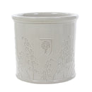 RHS Flora Glazed Bluebell