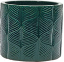 Ivy Dark Green Cylinder Set 4