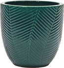 Ivy Dark Green Set Of 4