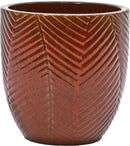 Ivy Red Set Of 4
