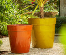 Julieno Turquoise Set 2 Pots