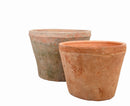 Carton Of 24 Kensing10