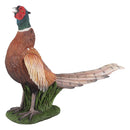 Resin Pheasant
