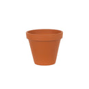 Outer Standard Spang Pot