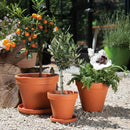 Outer Standard Spang Pot