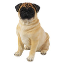 Resin Pug