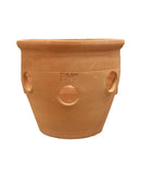 RHS Herb Planters