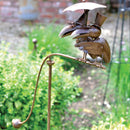 Balancing Toucans