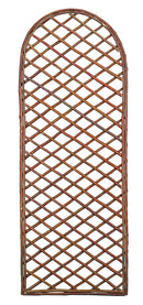 Willow Trellis Arche