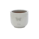 RHS Wildlife Cream Butterfly